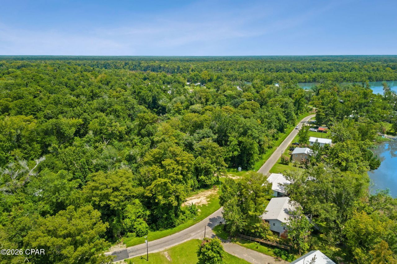 316 Byrd Parker Drive, Wewahitchka, FL 32465 Main Photo