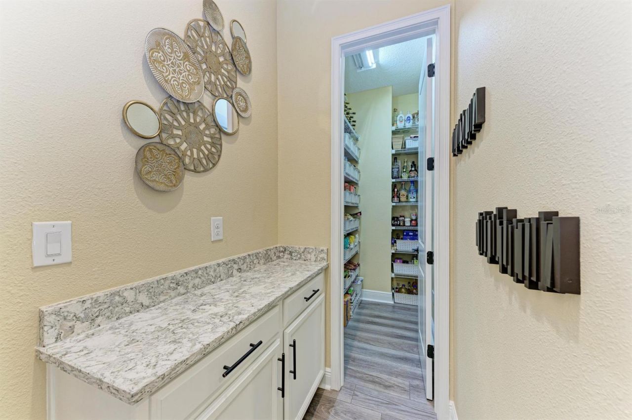 12627 Wheatgrass Court, Parrish, FL 34219 Photo