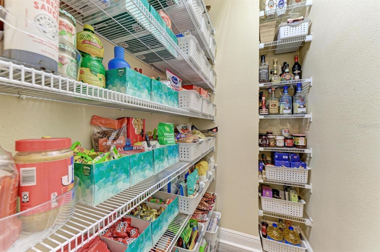 12627 Wheatgrass Court, Parrish, FL 34219 Photo