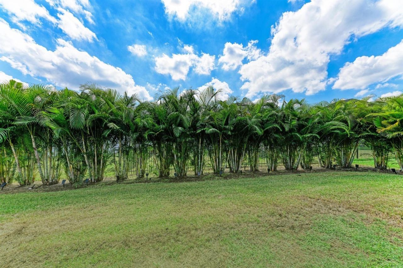 12627 Wheatgrass Court, Parrish, FL 34219 Photo