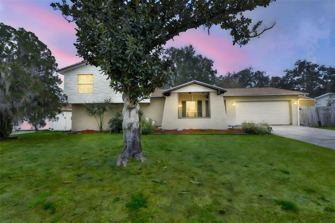 3806 Pinedale Street, Brandon, FL 33511 Main Photo