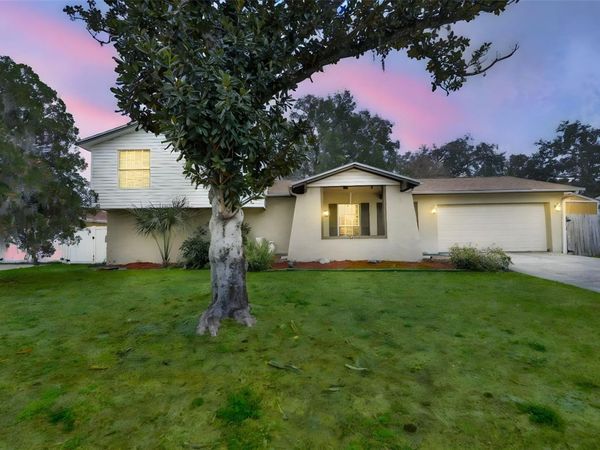 3806 PINEDALE STREET, BRANDON, FL 33511