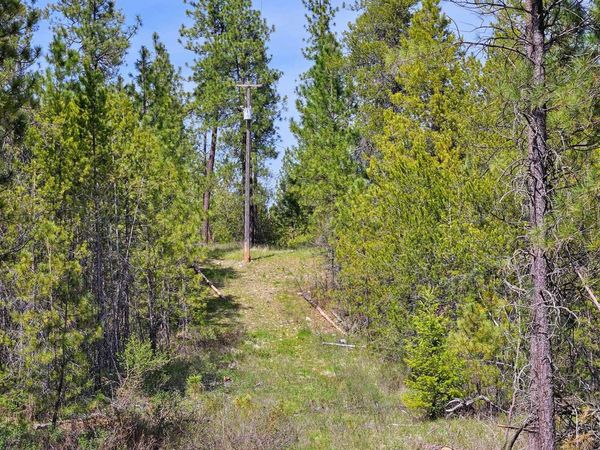 4464 Woods Way Rd, Springdale, WA 99173