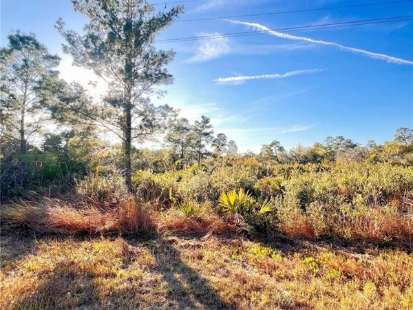 110 DARTMOOR AVENUE, LAKE PLACID, FL 33852