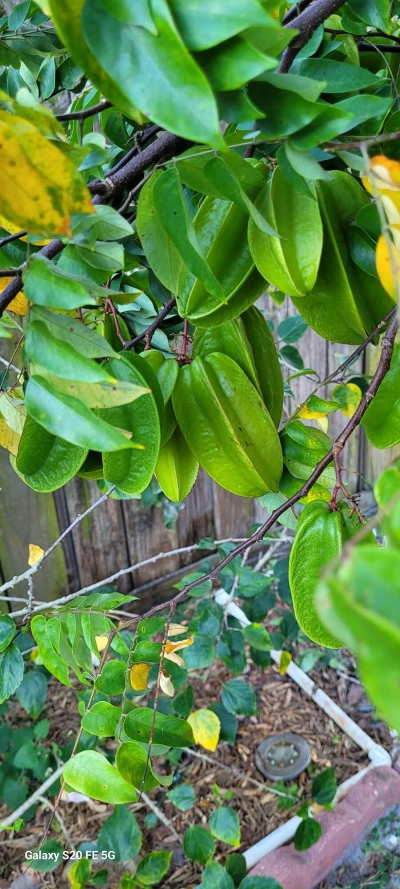 4026 SW Haycroft Street, Port Saint Lucie, FL 34953 Photo