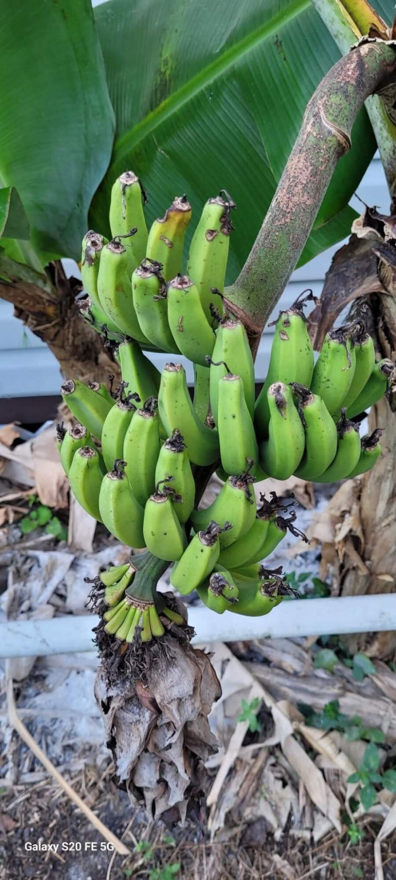 4026 SW Haycroft Street, Port Saint Lucie, FL 34953 Photo