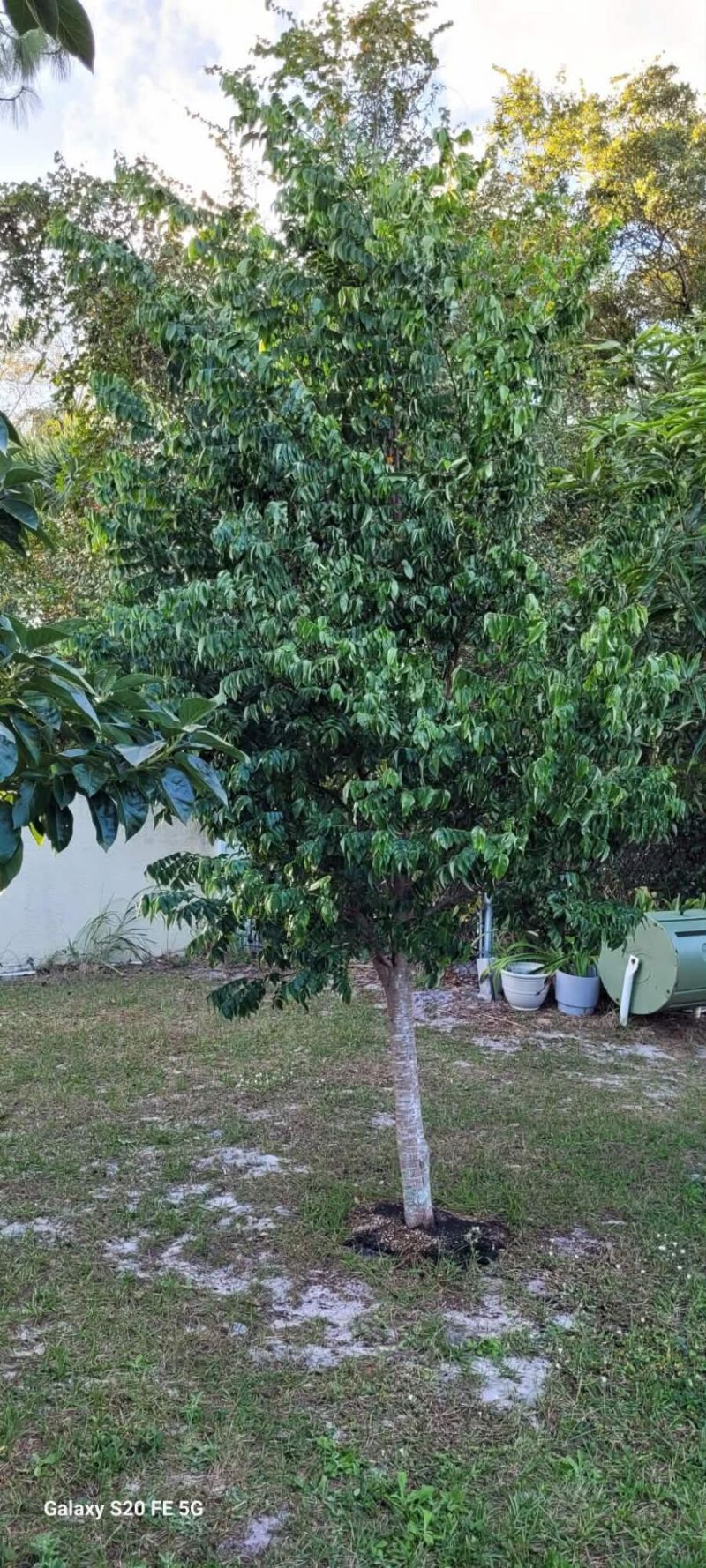 4026 SW Haycroft Street, Port Saint Lucie, FL 34953 Photo