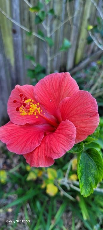 4026 SW Haycroft Street, Port Saint Lucie, FL 34953 Photo