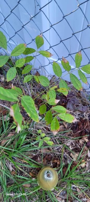 4026 SW Haycroft Street, Port Saint Lucie, FL 34953 Photo