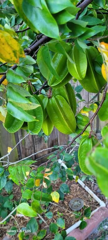 4026 SW Haycroft Street, Port Saint Lucie, FL 34953 Photo