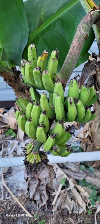 4026 SW Haycroft Street, Port Saint Lucie, FL 34953 Photo