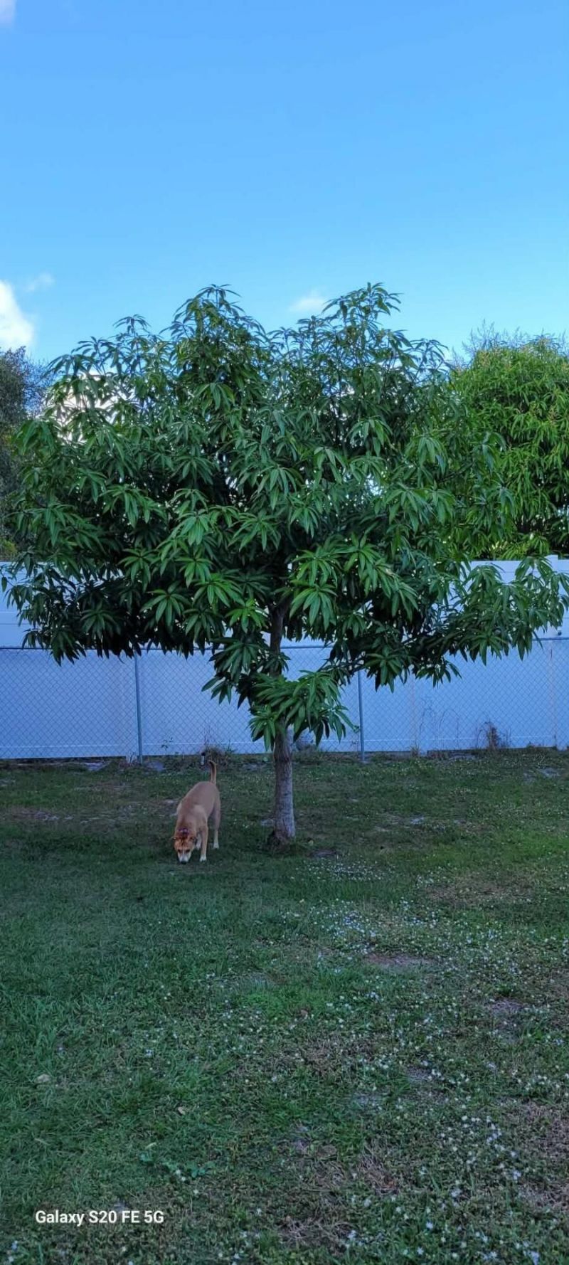 4026 SW Haycroft Street, Port Saint Lucie, FL 34953 Photo