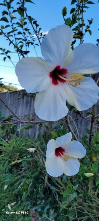 4026 SW Haycroft Street, Port Saint Lucie, FL 34953 Photo