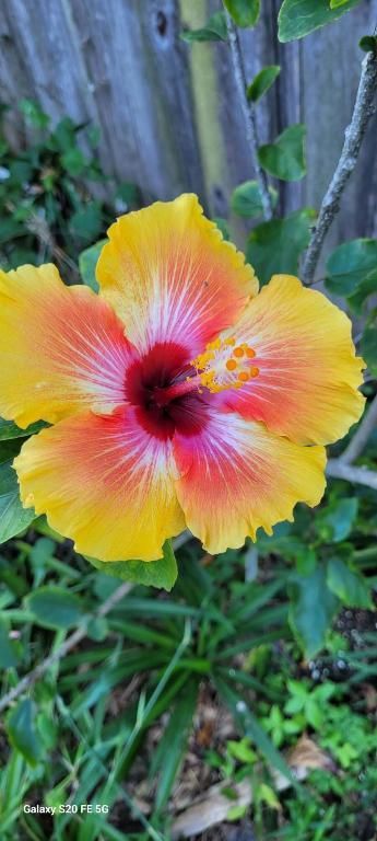 4026 SW Haycroft Street, Port Saint Lucie, FL 34953 Photo