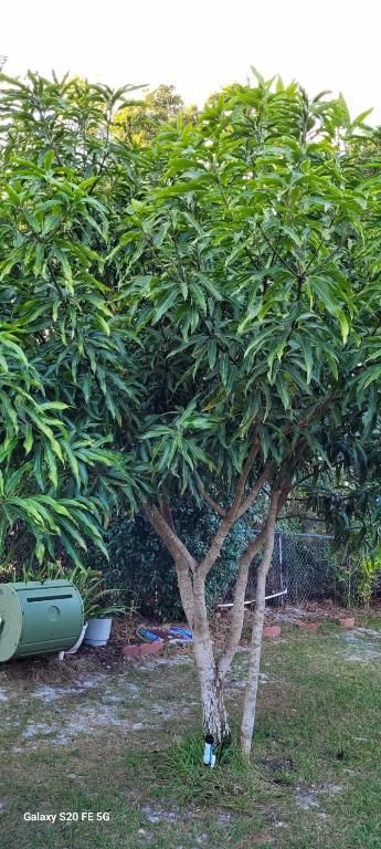 4026 SW Haycroft Street, Port Saint Lucie, FL 34953 Photo