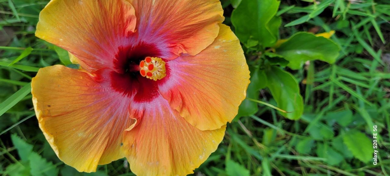 4026 SW Haycroft Street, Port Saint Lucie, FL 34953 Photo