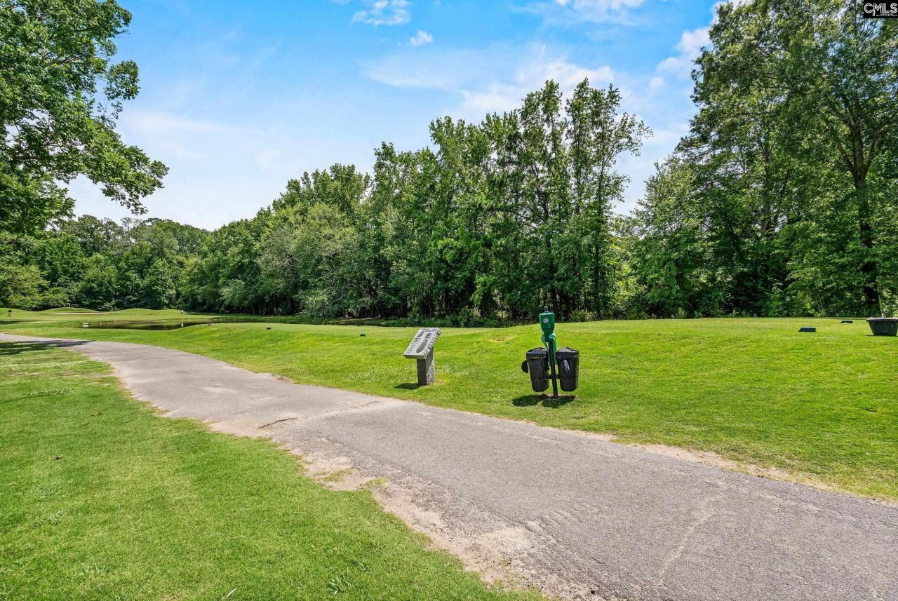 104 Birkdale Court Photo 50