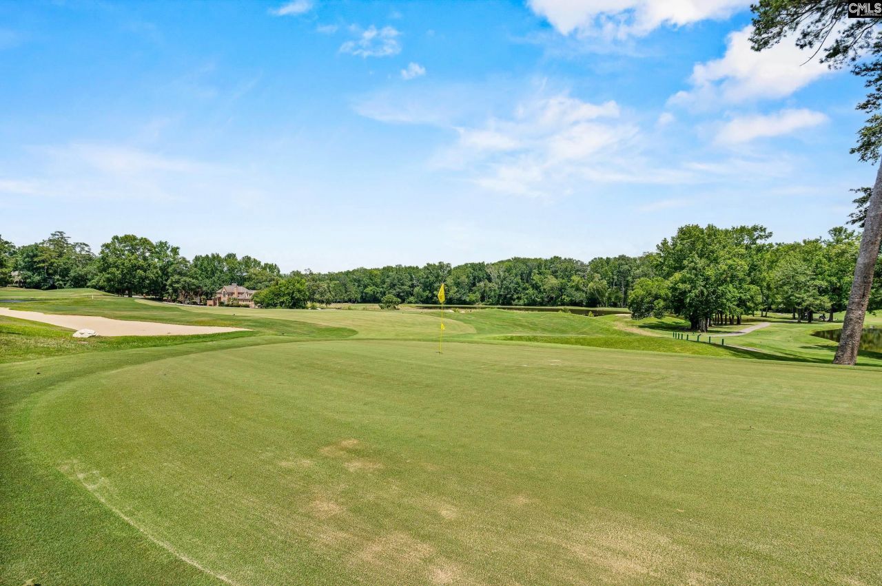 104 Birkdale Court Photo 51