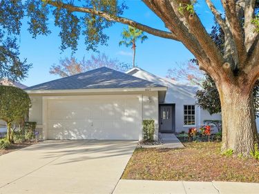 6025 SPRING CREEK COURT, MOUNT DORA, FL 32757