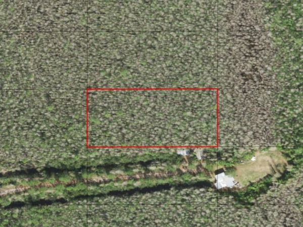 0 HOLOPAW GROVES RD, St. Cloud, FL 34772