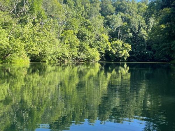 Lot 8 Hidden River Rd, Rock Island, TN 38581