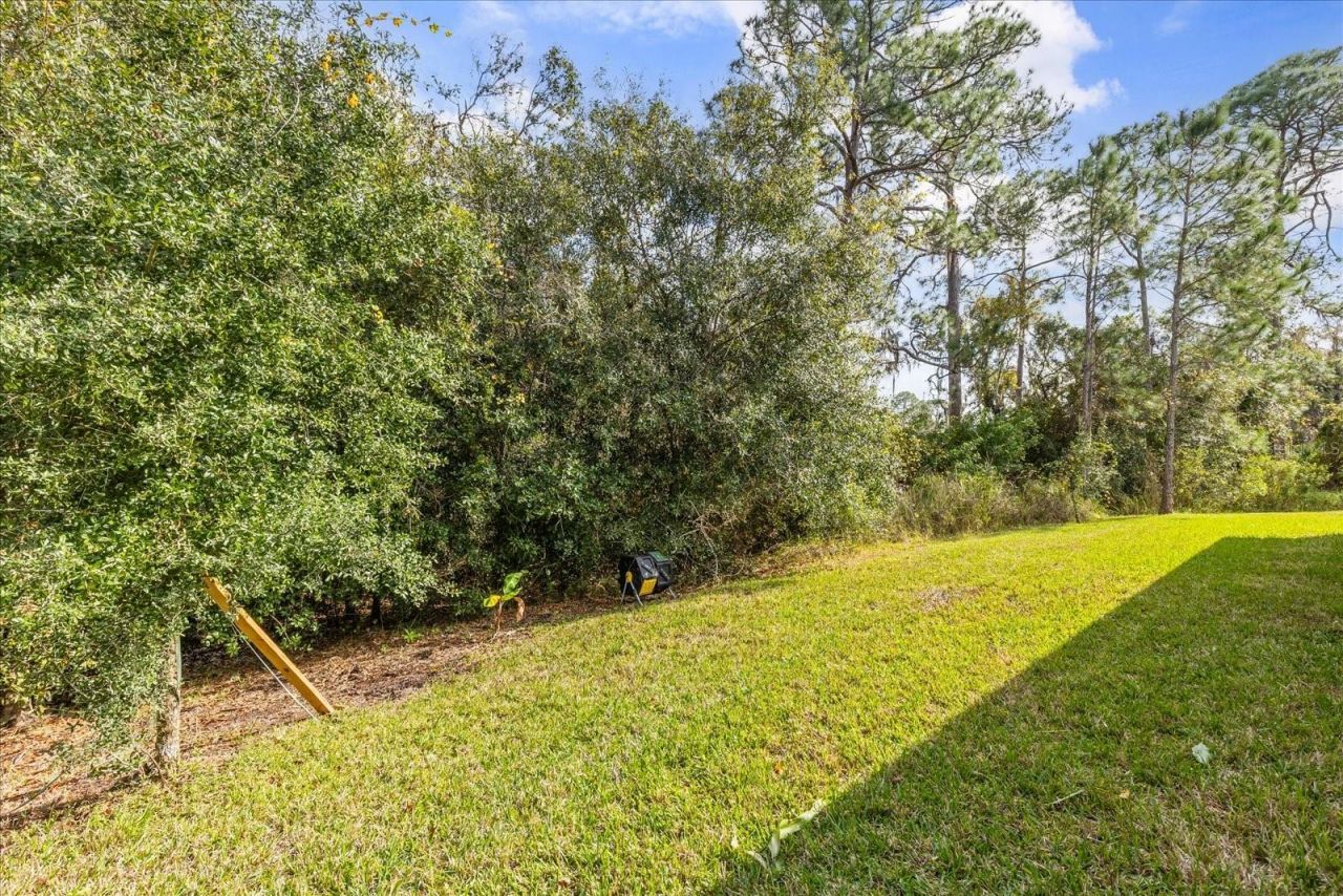 3918 Gaviota Drive, Sun City Center, FL 33573 Photo