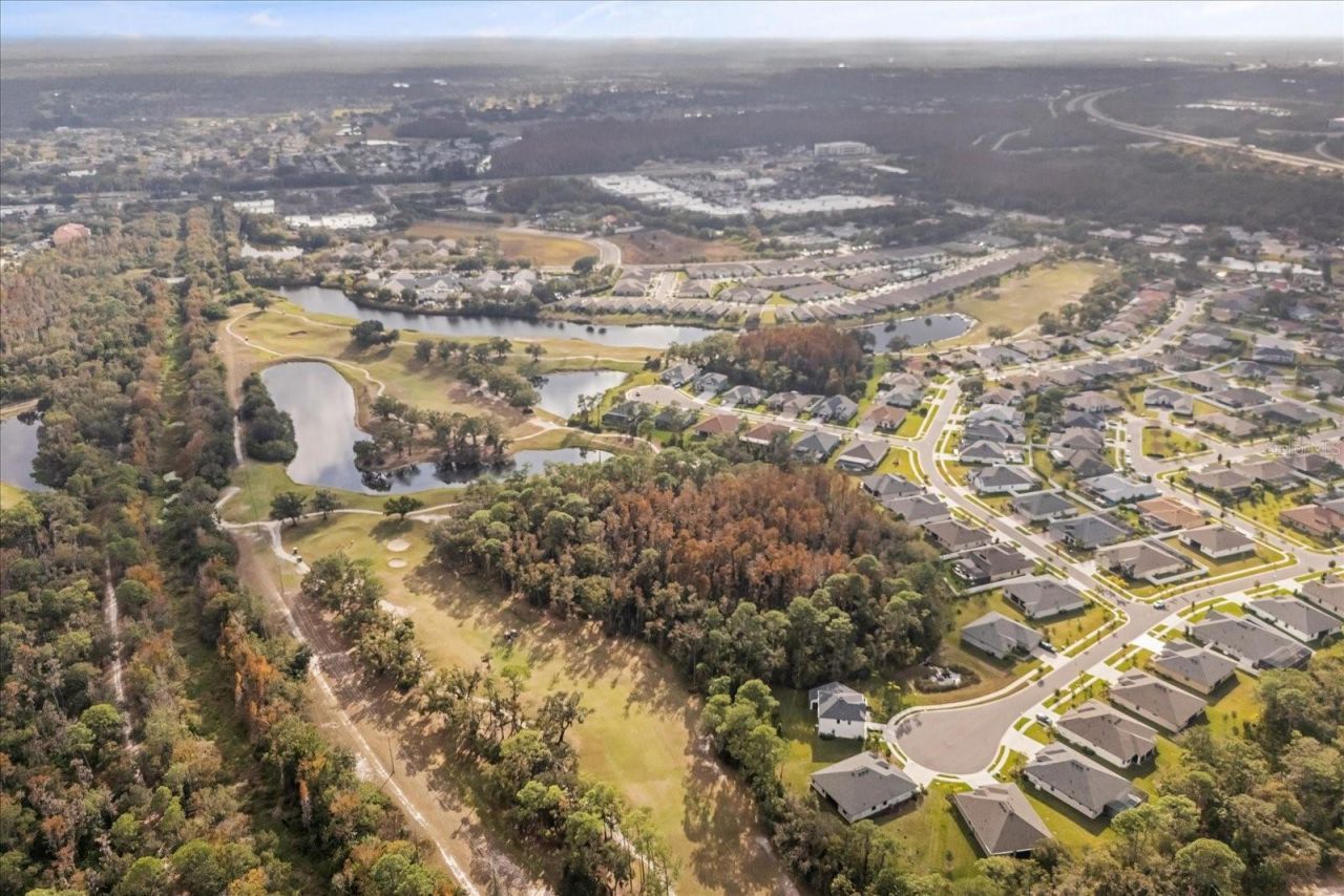 3918 Gaviota Drive, Sun City Center, FL 33573 Photo