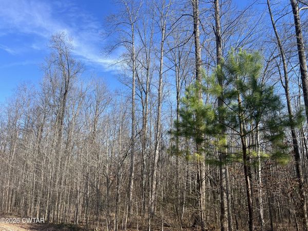 240 War Eagle Dr (Lot 121), Cedar Grove, TN 38321