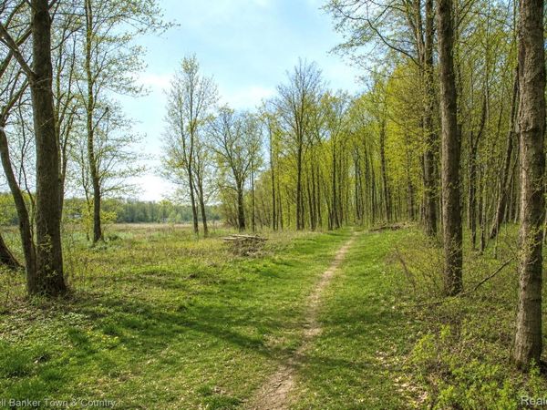 VL Spears, Unadilla Township, Mi 48137