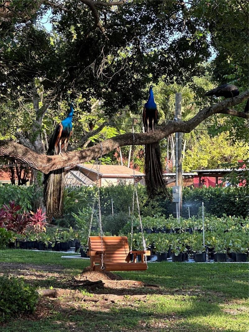 16470 SW 234th St, Homestead, FL 33031 Photo