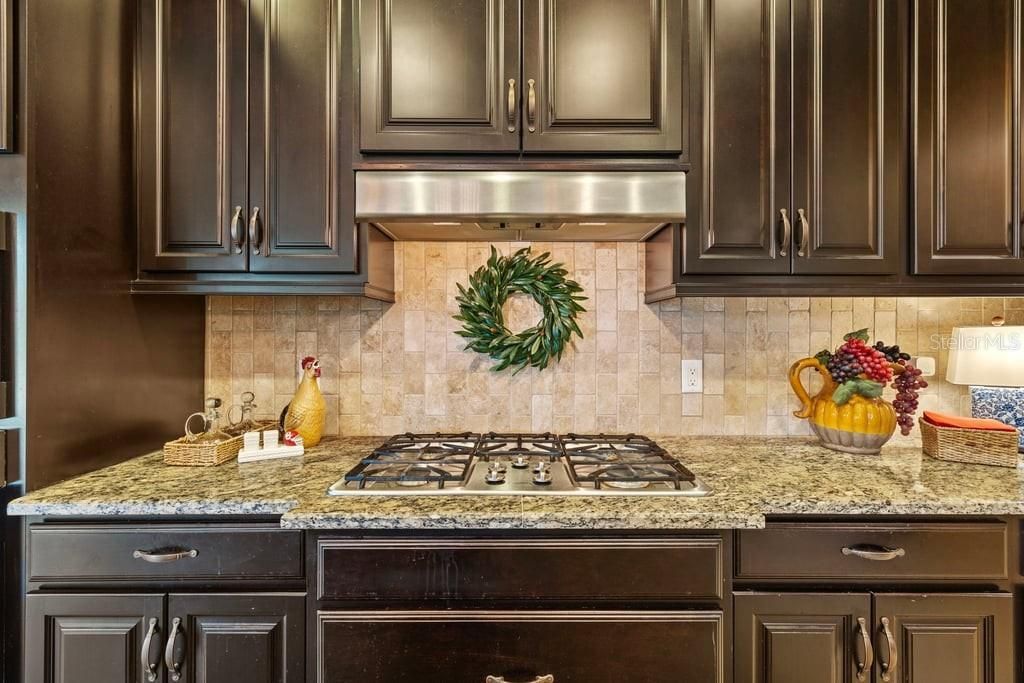 8414 Eagle Brook Drive, Land O Lakes, FL 34638 Photo