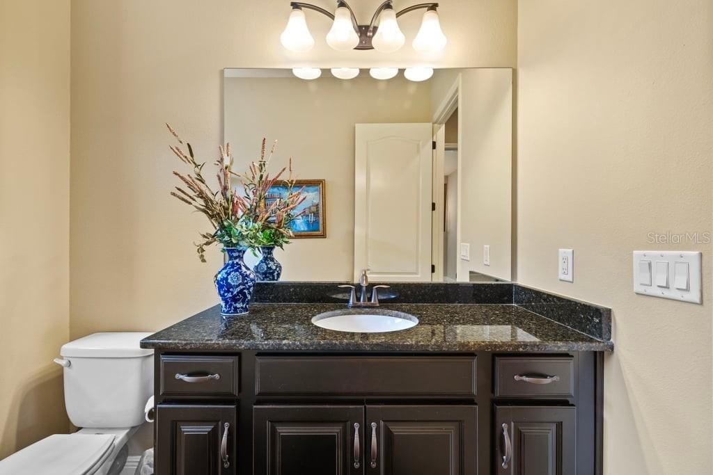 8414 Eagle Brook Drive, Land O Lakes, FL 34638 Photo