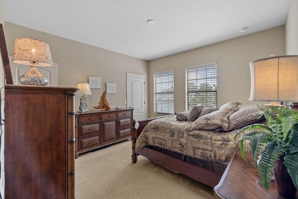 8414 Eagle Brook Drive, Land O Lakes, FL 34638 Photo