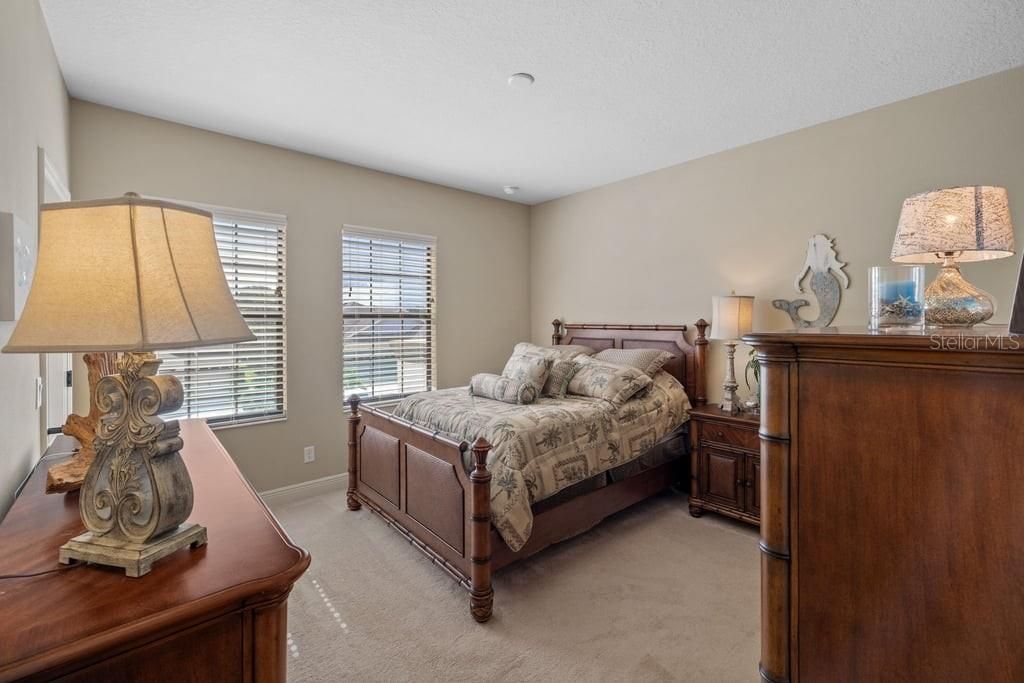 8414 Eagle Brook Drive, Land O Lakes, FL 34638 Photo