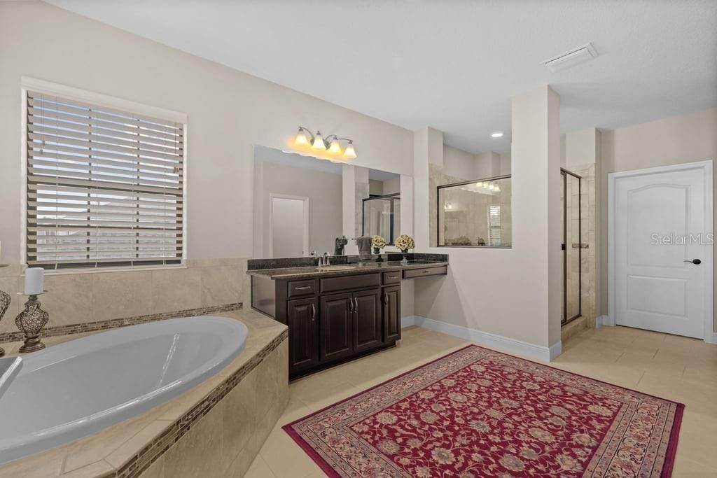 8414 Eagle Brook Drive, Land O Lakes, FL 34638 Photo