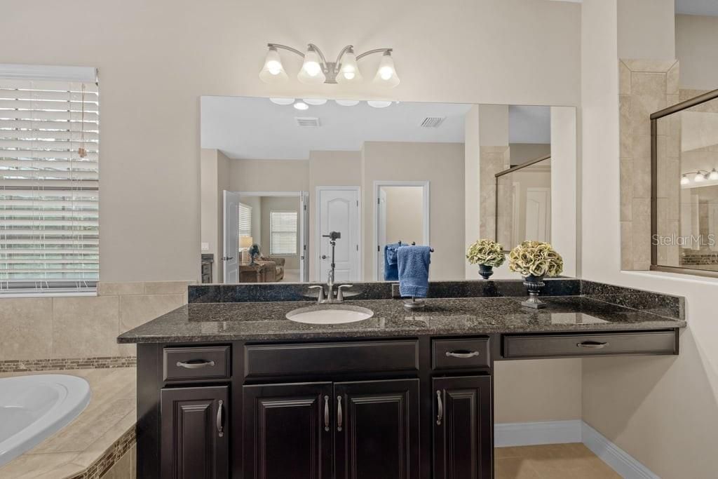 8414 Eagle Brook Drive, Land O Lakes, FL 34638 Photo