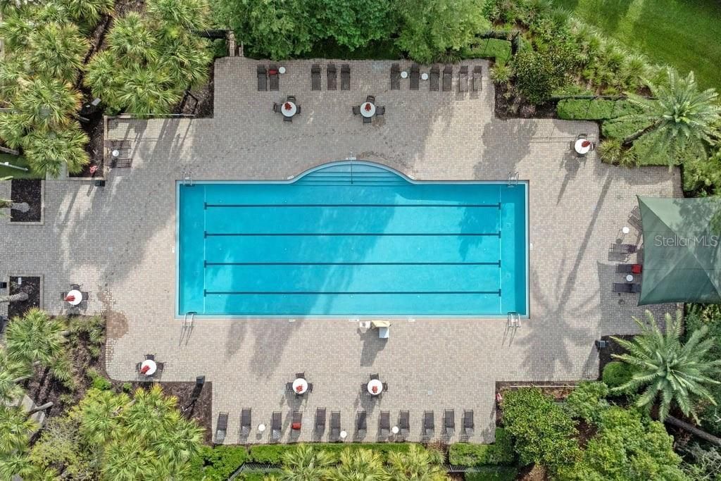 8414 Eagle Brook Drive, Land O Lakes, FL 34638 Photo