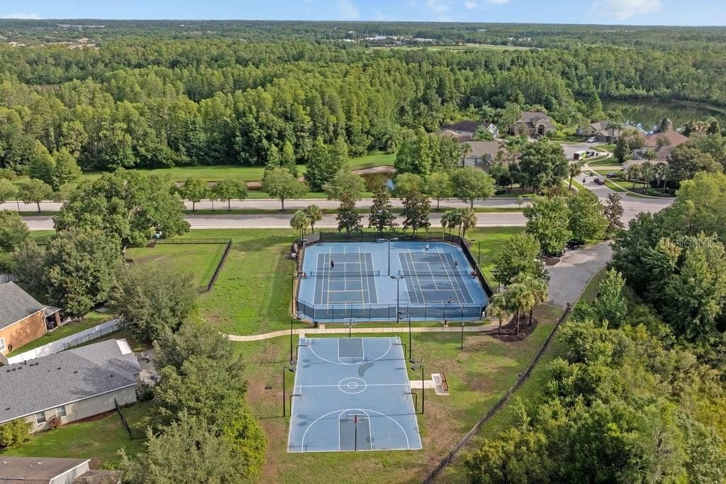 8414 Eagle Brook Drive, Land O Lakes, FL 34638 Photo