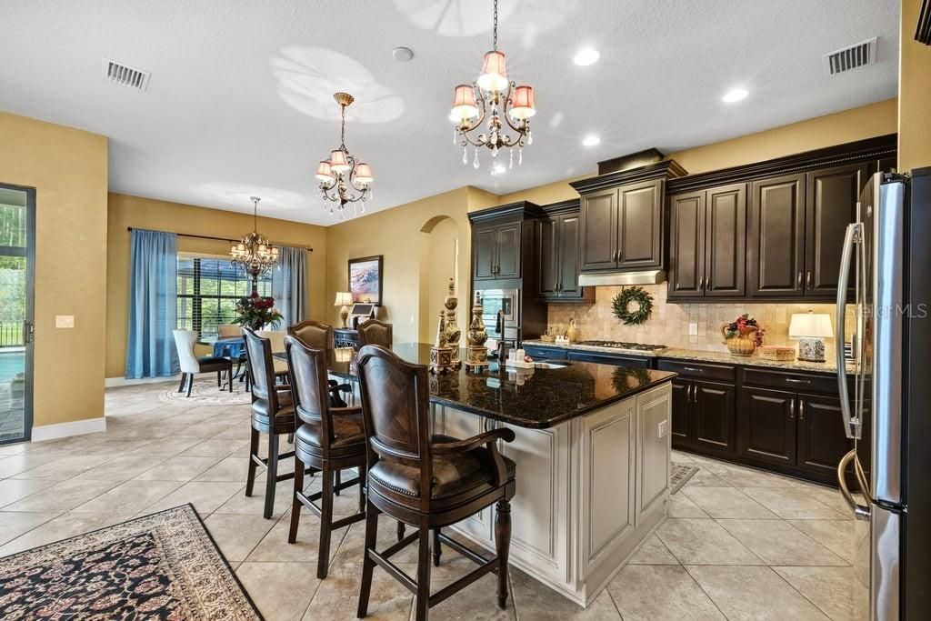 8414 Eagle Brook Drive, Land O Lakes, FL 34638 Photo