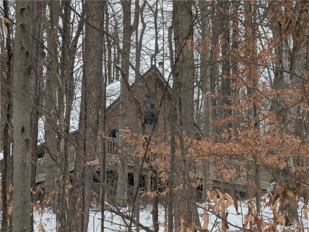 15 Ocean Drive, Freeville, NY 13068 Main Photo