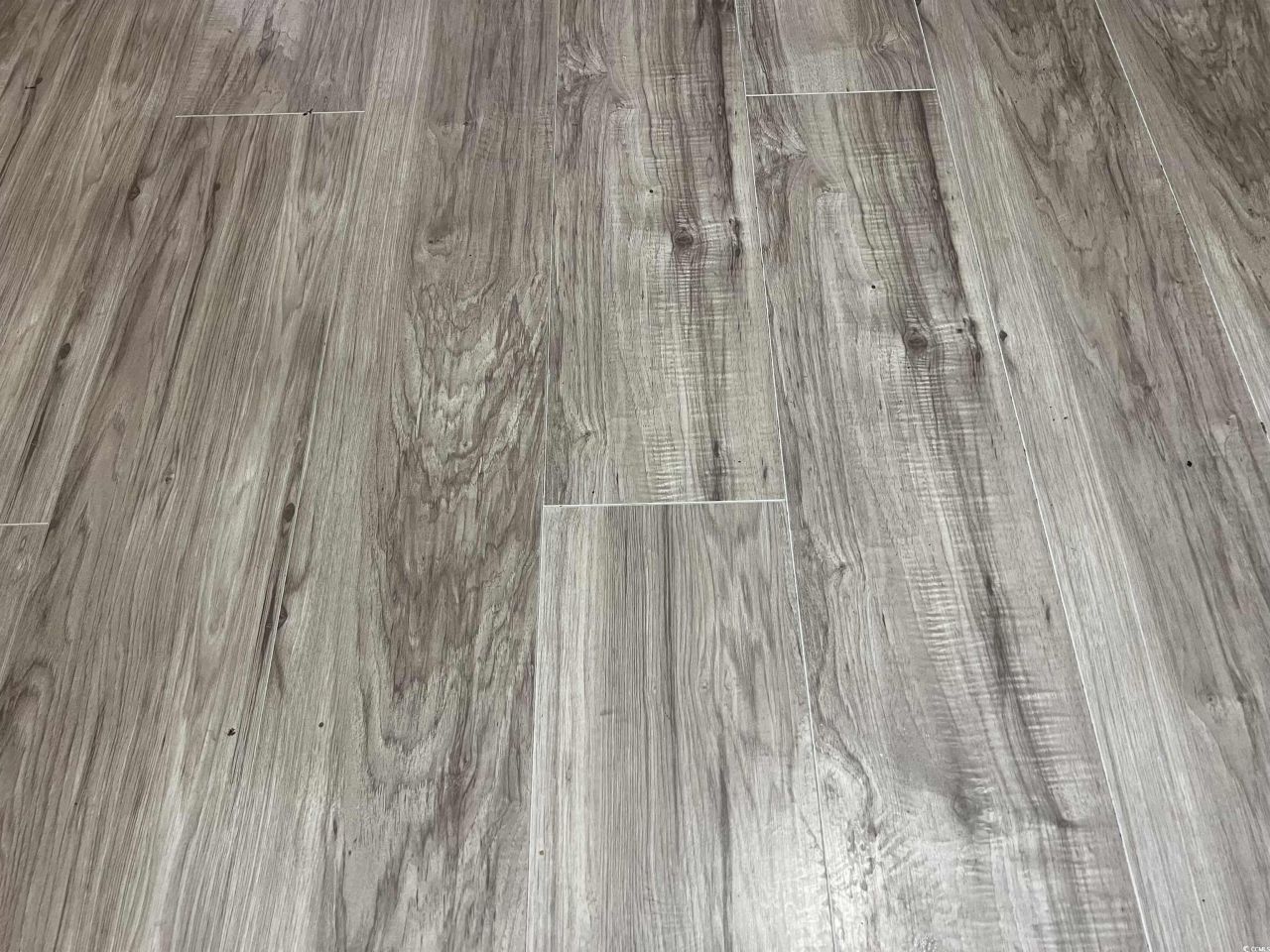 451 Sutton Dr.  Photo 13