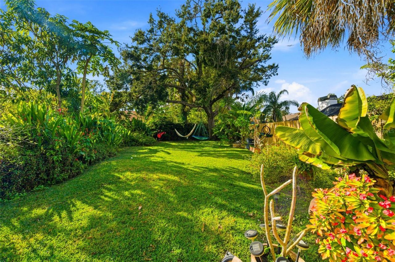 5026 Barrowe Drive, Tampa, FL 33624 Photo