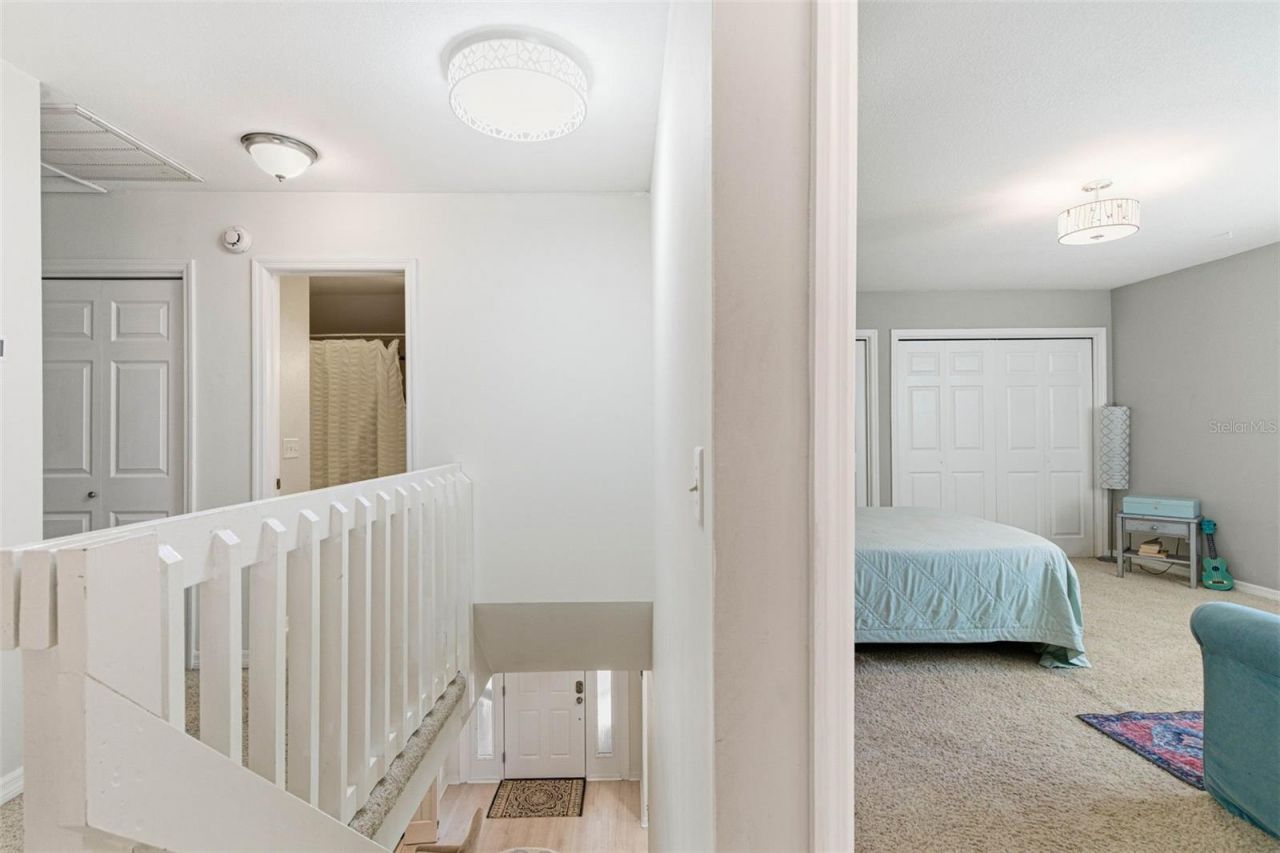 5026 Barrowe Drive, Tampa, FL 33624 Photo