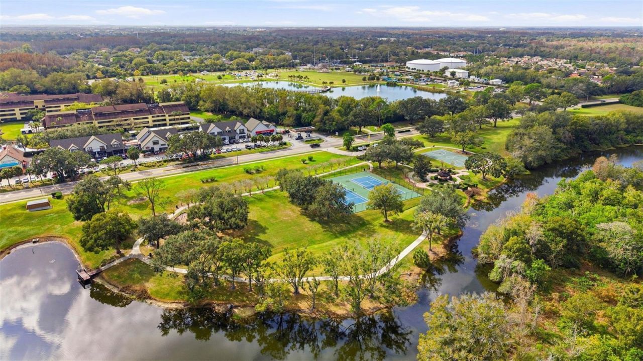 5026 Barrowe Drive, Tampa, FL 33624 Photo