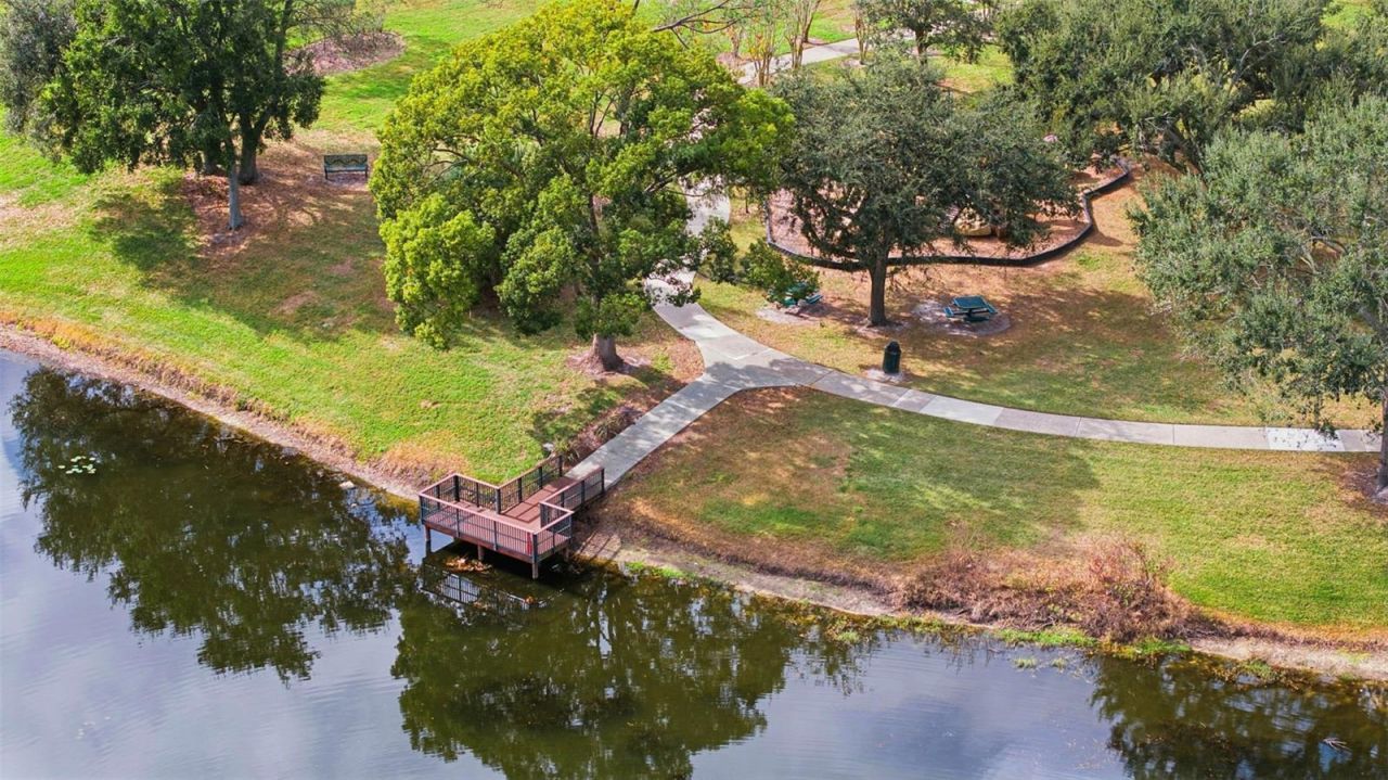 5026 Barrowe Drive, Tampa, FL 33624 Photo