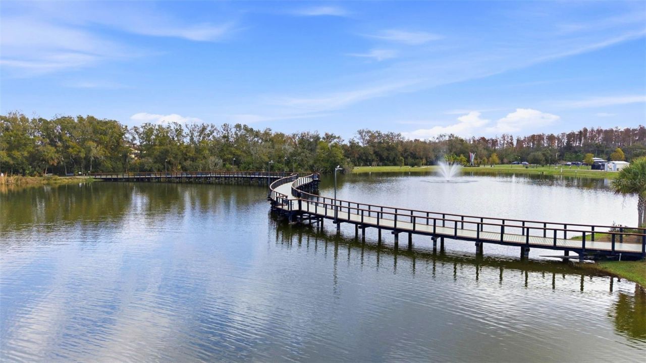 5026 Barrowe Drive, Tampa, FL 33624 Photo