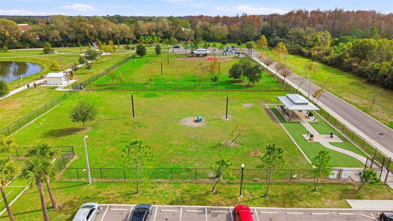 5026 Barrowe Drive, Tampa, FL 33624 Photo