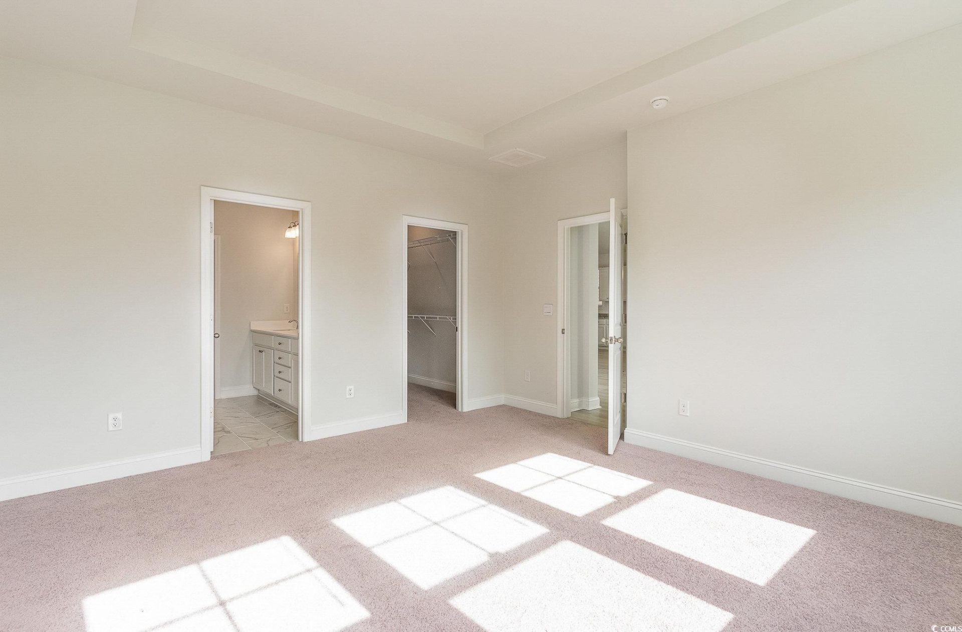808 Flowering Branch Ave. Photo 20