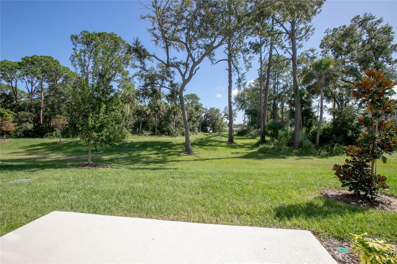 184 River Front Way, Edgewater, FL 32141 Photo