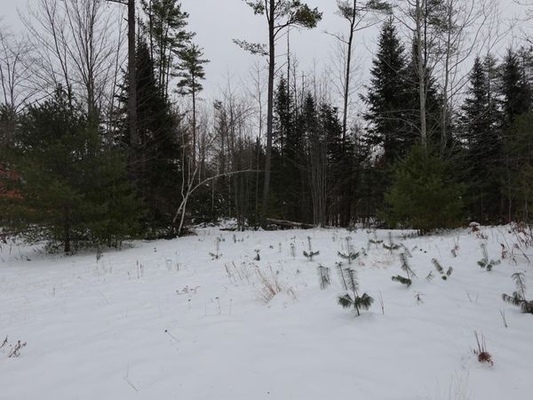 012-013-01 Bert Berry road Road , Embden, ME 04958